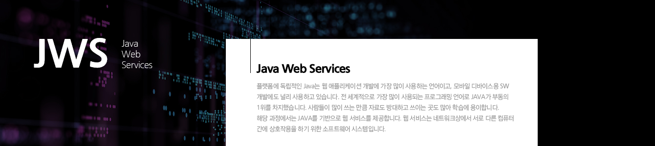 JAVA Web 프로젝트